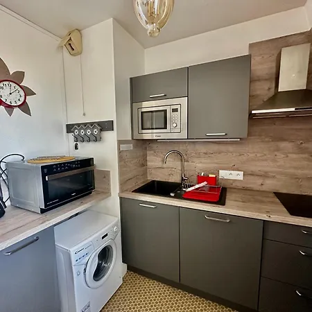 Apartment La Mouette Rieuse, Terrasse, Vue Mer, Acces